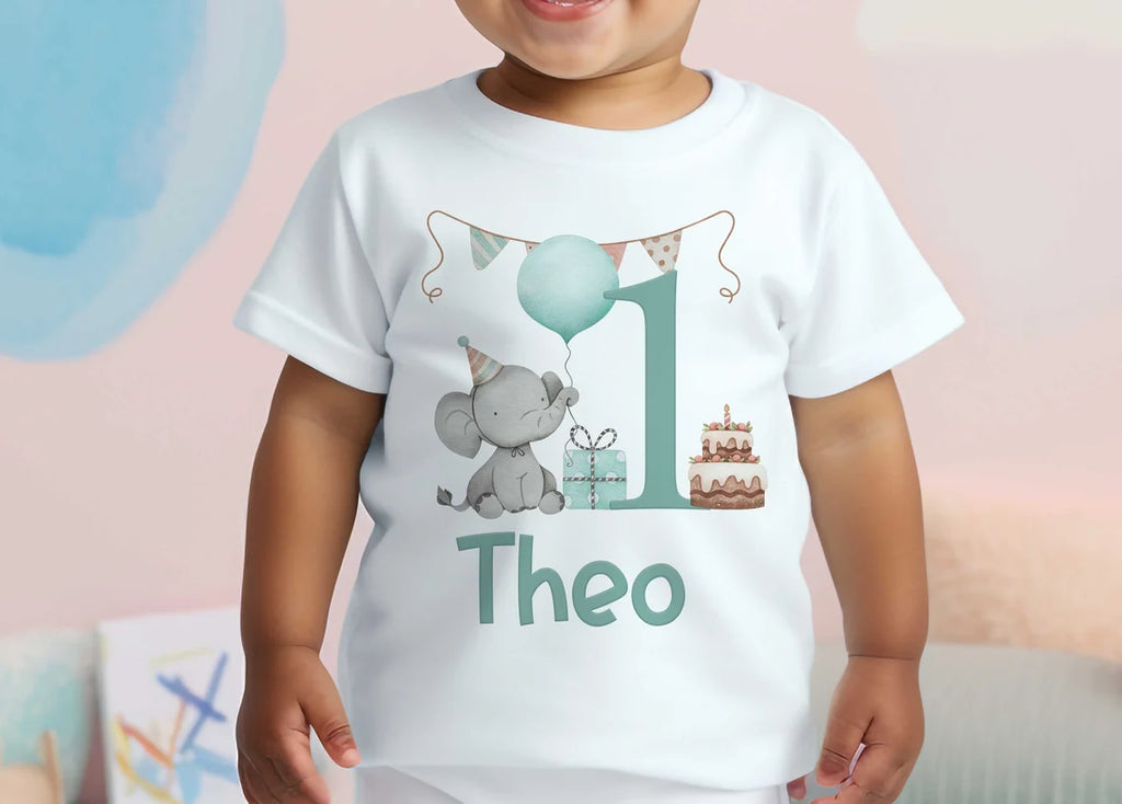 Personalised Boys & Girls Birthday T-Shirt & Romper