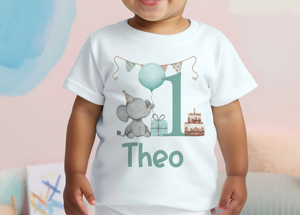 Personalised Boys & Girls Birthday T-Shirt & Romper