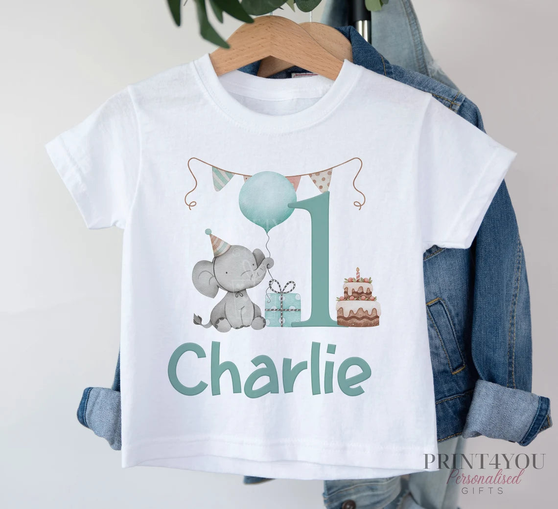 Personalised Boys & Girls Birthday T-Shirt & Romper