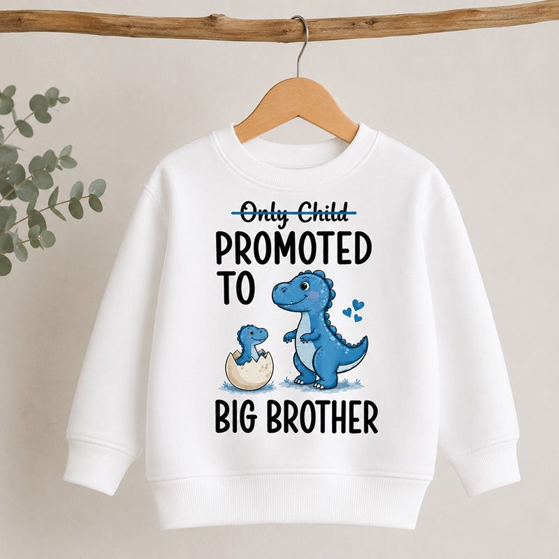 Only Child Promoted to Big Brother / Big Sister Dinosaur Sweatshirt
