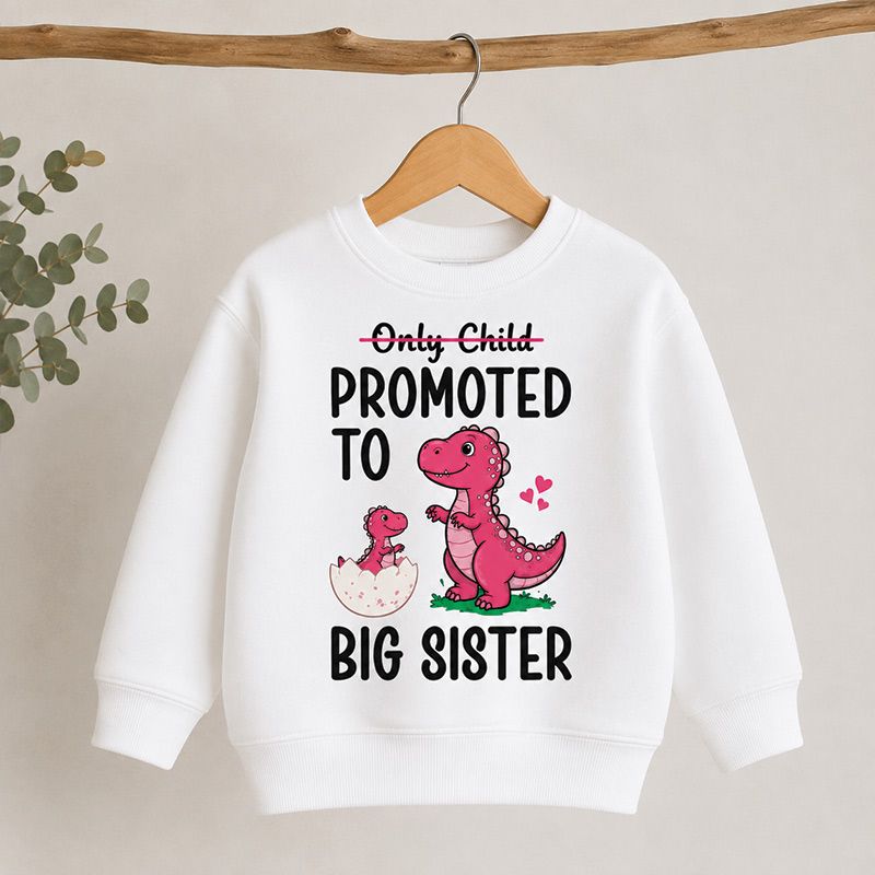 Only Child Promoted to Big Brother / Big Sister Dinosaur Sweatshirt