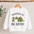 Promoted to Big Sibling Dino Sweatshirt